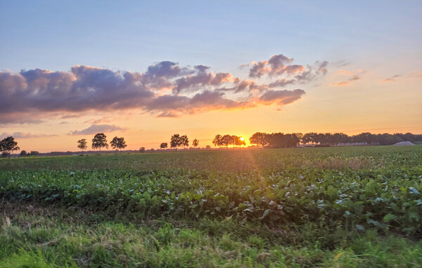 Feriehus - Hellendoorn , Nederland - HOV693 904
