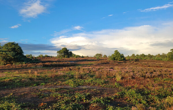 Feriehus - Hellendoorn , Nederland - HOV693 905