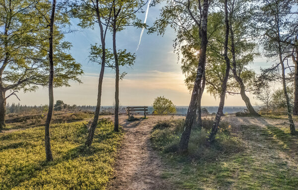 Vakantiehuis - Hellendoorn , Nederland - HOV700 904