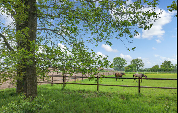 Vakantiehuis - Hellendoorn , Nederland - HOV705 901