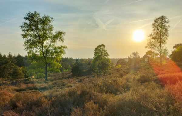 Holiday Home - Hellendoorn , Holland - HOV717 904