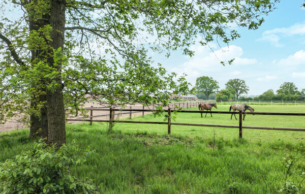 Holiday Home - Hellendoorn , Holland - HOV717 905