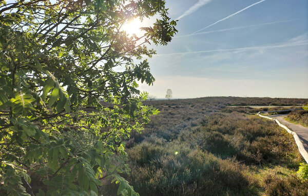 Holiday Home - Hellendoorn , Holland - HOV730 903