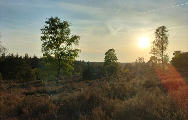 Holiday Home - Hellendoorn , Holland - HOV730 905