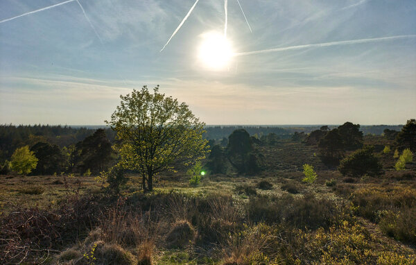 Feriehuse - Hellendoorn , Holland - HOV745 903