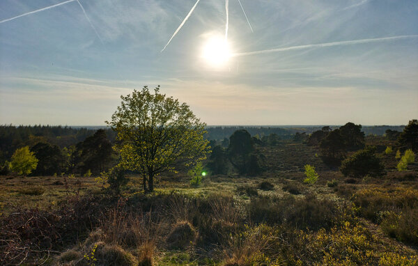 Feriehuse - Hellendoorn , Holland - HOV766 903