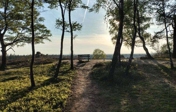 Feriehuse - Hellendoorn , Holland - HOV766 904