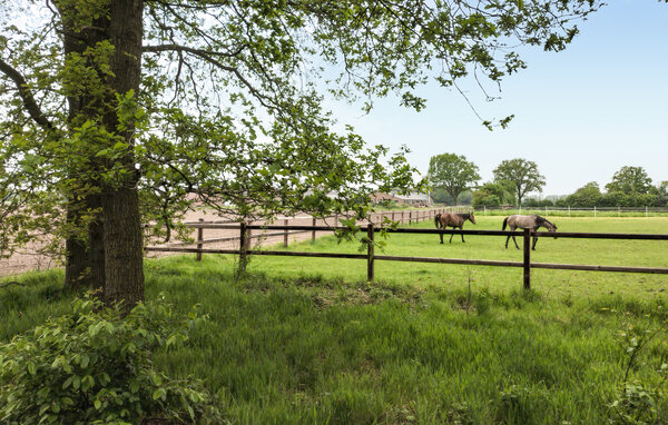 Feriehuse - Hellendoorn , Holland - HOV766 905
