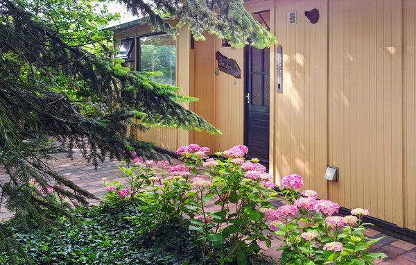 Ferienhaus Huize Roland