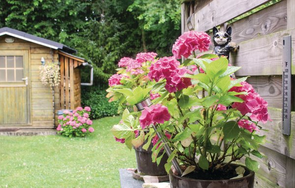Vakantiehuis 