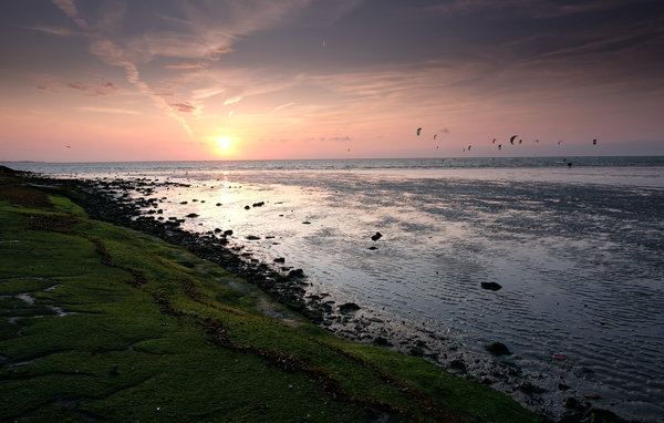 Domy wakacyjne - Zonnemaire , Holandia - HZE104 908