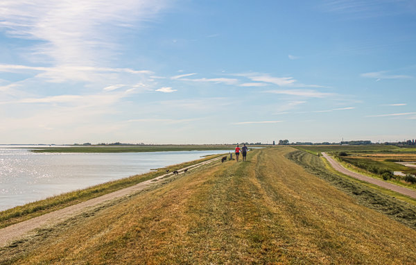 Vakantiehuis - Heinkenszand , Nederland - HZE236 9