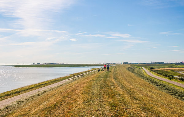 Holiday Home - Heinkenszand , Holland - HZE291 909