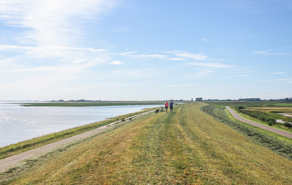 Semesterhus - Heinkenszand , Holland - HZE292 912