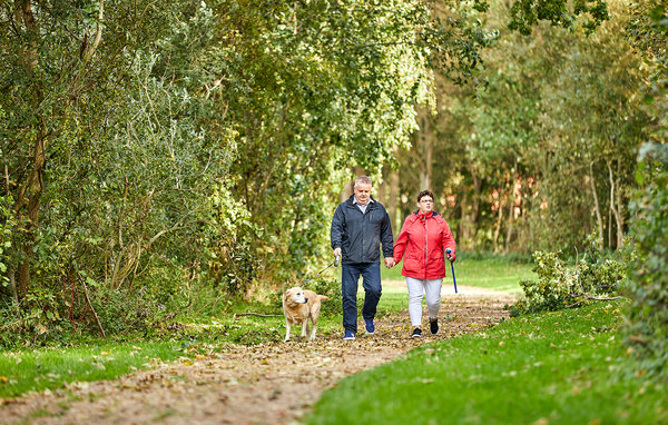 Semesterhus - Hof van Zeeland , Holland - HZE490 907