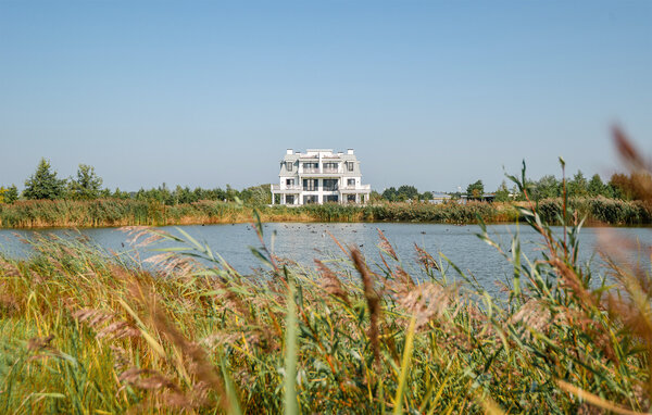 Appartement - Kamperland , Nederland - HZE642 83