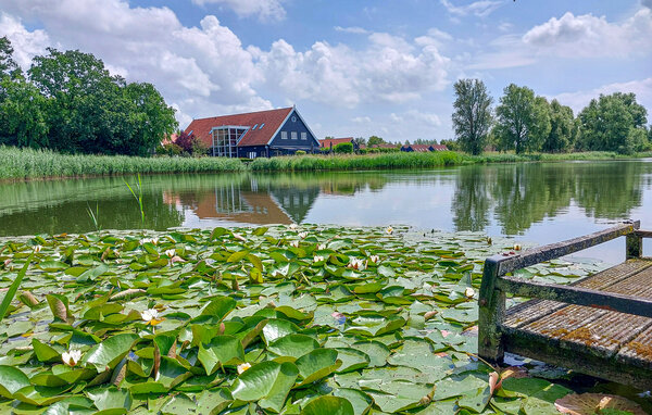 Domy wakacyjne - Heinkenszand , Holandia - HZE876 107