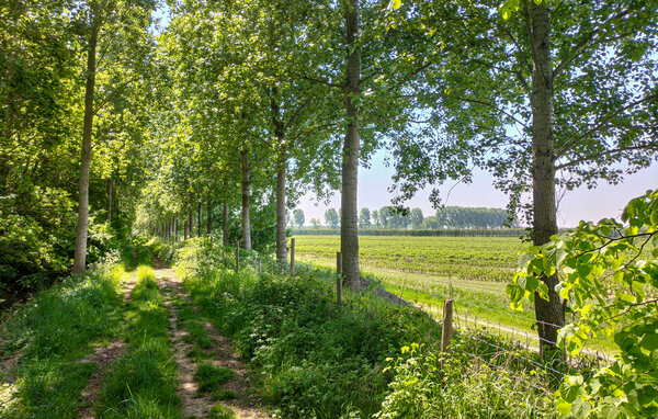 Ferienhaus - Heinkenszand , Holland - HZE881 104