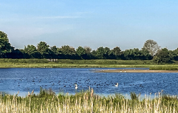 Feriehus - Oostburg , Nederland - HZE888 201