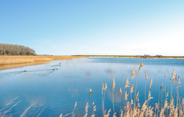 Vakantiehuis - Dreischor , Nederland - HZE978 902
