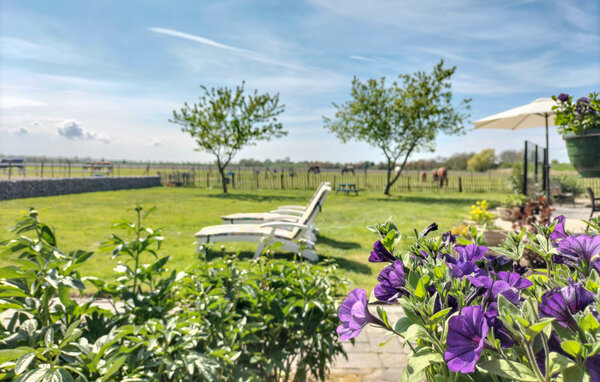 Vakantiehuis - Dreischor , Nederland - HZE978 102