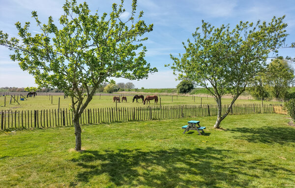Vakantiehuis - Dreischor , Nederland - HZE978 8