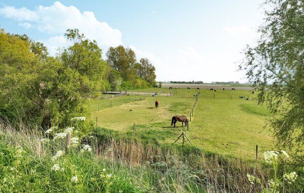 Vakantiehuis - Dreischor , Nederland - HZE978 201