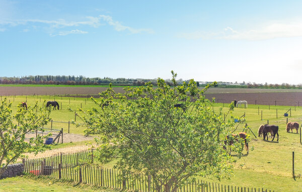Vakantiehuis - Dreischor , Nederland - HZE978 202