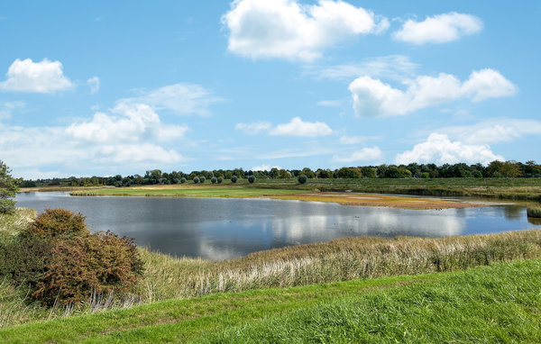 Domy wakacyjne - Scherpenisse , Holandia - HZE995 905