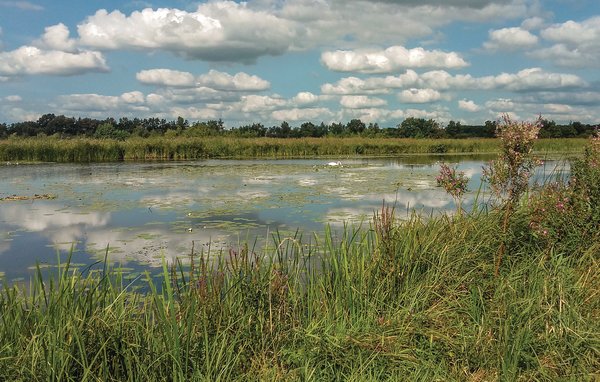Domy wakacyjne - Lexmond , Holandia - HZH015 904