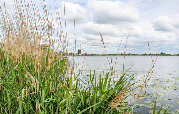 Domy wakacyjne - Woubrugge , Holandia - HZH027 905