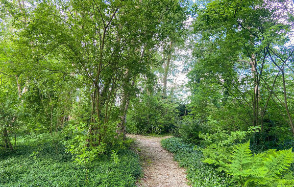Domy wakacyjne - Reeuwijk , Holandia - HZH111 903