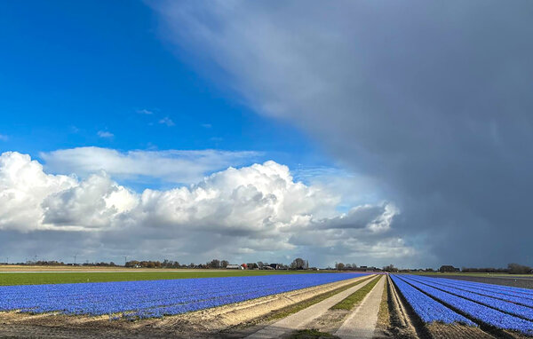 Ferienhaus - Noordwijk aan Zee , Holland - HZH277 901