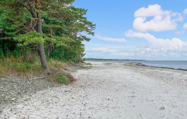 Vakantiehuis - Snogebæk , Denemarken - I50039 2