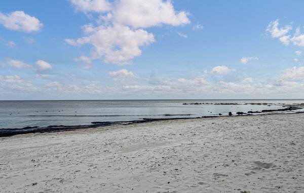 Vakantiehuis - Snogebæk , Denemarken - I50039 901