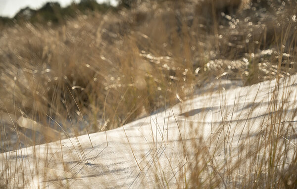 Ferienhaus - Snogebæk , Dänemark - I50039 907