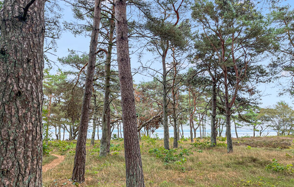 Vakantiehuis - Snogebæk , Denemarken - I50039 201