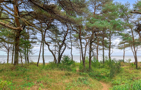 Vakantiehuis - Snogebæk , Denemarken - I50039 7