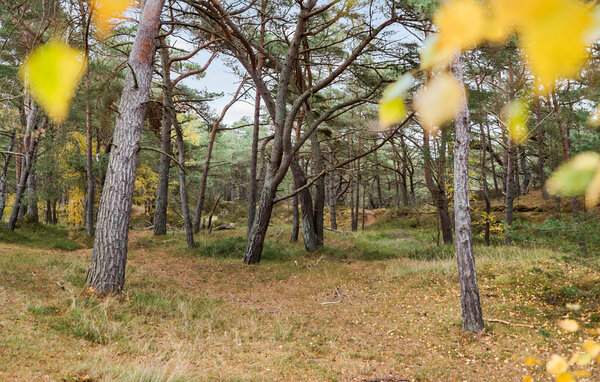 Semesterlägenhet - Dueodde , Danmark - I51108 102