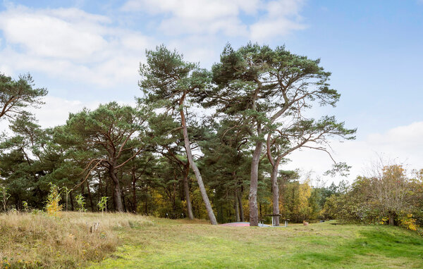 Semesterlägenhet - Dueodde , Danmark - I51112 9