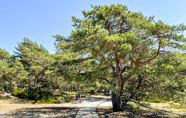 Appartamento - Dueodde , Danimarca - I51204 9