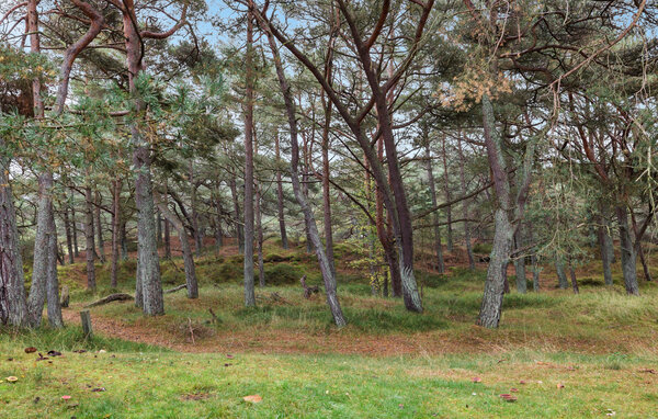 Semesterlägenhet - Dueodde , Danmark - I51212 102