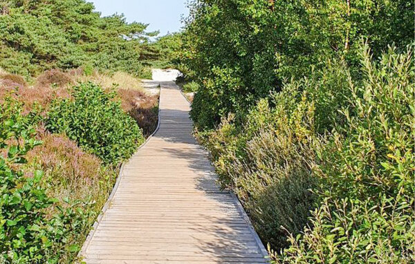 Ferienwohnung - Dueodde , Dänemark - I51216 902