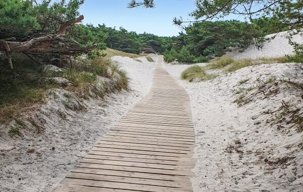 Ferienwohnung - Dueodde , Dänemark - I51216 903