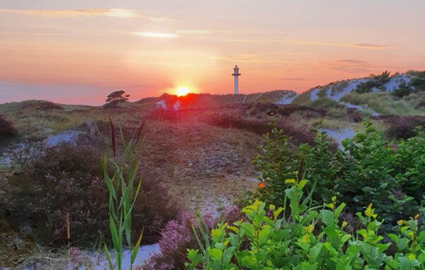 Ferienwohnung - Dueodde , Dänemark - I51216 906