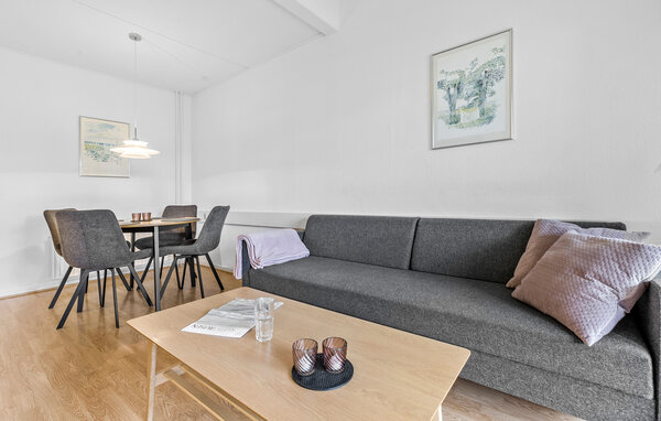 Ferienwohnung - Dueodde , Dänemark - I51216 4
