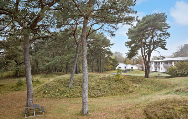 Ferieleilighet - Dueodde , Danmark - I51218 8