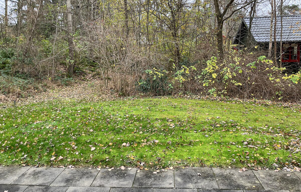 Casa vacanze - Dueodde , Danimarca - I51221 101