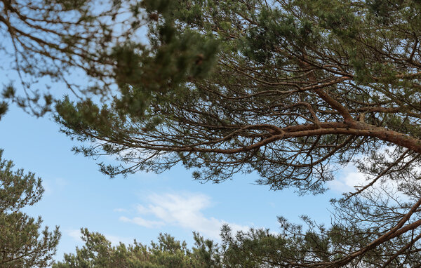 Lejlighed - Dueodde , Danmark - I51305 102