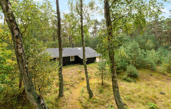 Feriehuse - Dueodde , Danmark - I51310 82